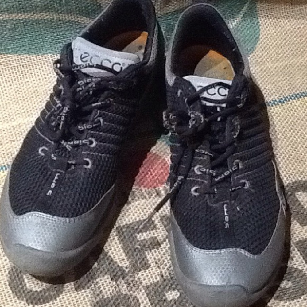 Ecco Hiking Shoes